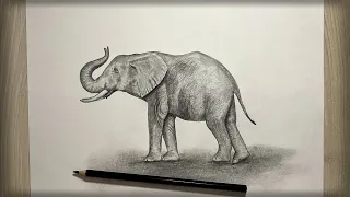 Cómo debujar un Elefante|paso o paso|Рисуем Слона|elephant|mejor