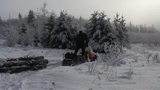 Hauling Logs to the Sawmill in Winter | Off Grid in Northern Canada