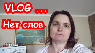 VLOG Ничего не предвещало беды