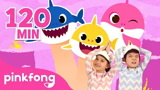 Baby Shark en français - Nos Chansons 2022 | +Comptines | PInkfong ! Chansons pour Enfants