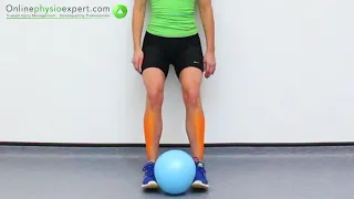 Tibialis Anterior Muscle Strengthening Exercise Tutorial (Level 5) - ONLINE PHYSIO EXERCISES