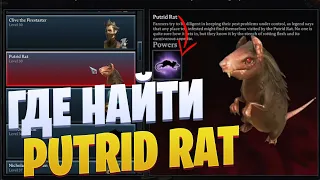 Где найти крысу Putrid Rat в V Rising? Спавним босса
