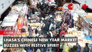 Lhasa's Chinese New Year Market Buzzes with Festive Spirit