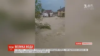 На Прикарпатті велика вода затопила майже півтори сотні будинків та розмила шляхи