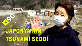 Japonya'nın tsunami seddi: "Tsunami öncesi köyümüz aşağı taraftaydı"