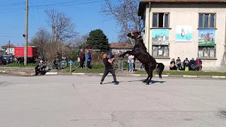 Тодоровден гр.Белене