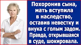 Похоронив сына, мать вступила в наследство, оставив невестку и внука с голым задом.