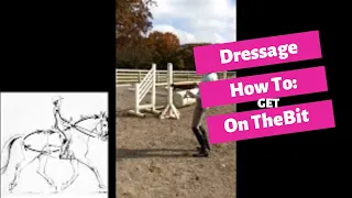 Step By Step Guide To Getting Your Dressage Horse On The Bit With Lainey Ashker