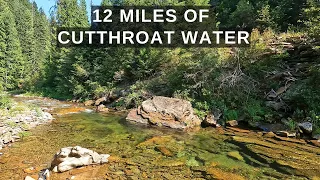 IDAHO - where you can have 12 miles of cutthroat water to yourself over a holiday!