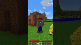 Minecraft: Herobrine Unexpected Aid TO Steve! - Monetero (Lil -Nas X) #shorts