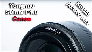 Объектив Yongnuo YN 50mm F1.8 Canon обзор