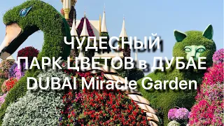 Чудесный ПАРК Цветов В ДУБАЕ 🌸🌺🌼🌻🌹DUBAI Miracle GARDEN🌼 январь 2021