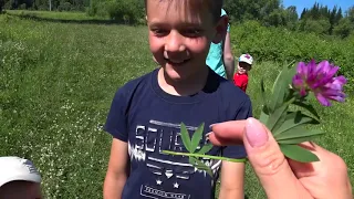 Заросло всё травой😯/ Сестра с детьми в гостях🤗/ Идём на речку🏊‍♀️