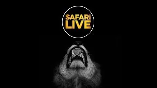 safariLIVE - Sunrise Safari - Feb. 25, 2018