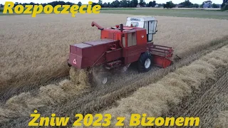 ✔Pierwsze w Okolicy Żniwa Pszenżyta⛔Czyli ''Rozpoczęcie Żniw 2023 z Bizonem'' [Dzień 1]🔥Ryk Bizona🚜