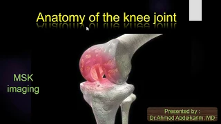 5-Anatomy of the knee joint