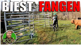 FarmVlog 322: JOSKIN Striegel Scariflex | Wir fangen das Biest