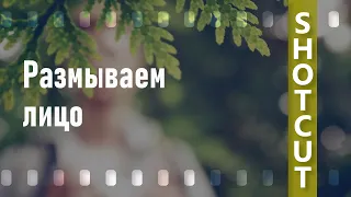 16. Shotcut. Размываем лицо | Смайлик-Цензура