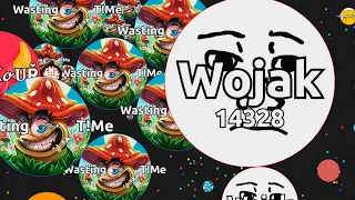 DON'T WASTE YOUR TIME FOR TEAM ( Agar.io Solo Gameplay )