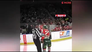 Roliga refcams från SHL 18/19