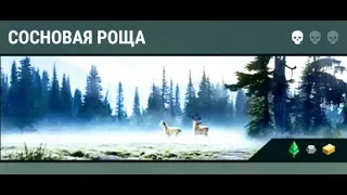 Сосновая роща. Сюжет игры Last Day on Earth Survival