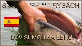 With Jakub fishing - Big catfish on Ebro with Roman Kuřil