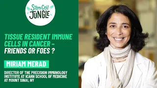 Tissue resident immune cells in cancer – friends or foes ? Miriam Merad | In The Stem Cell Jungle