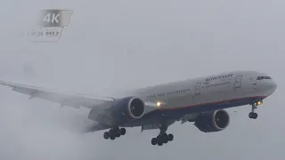 FOGGY Landings 25 airplanes in 10 minutes B787 B777 TU-134 at Sheremetyevo Airport | PLANE SPOTTING