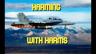 Ralfi's Alley - HARMING with HARMS