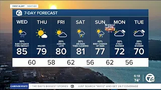 Metro Detroit Weather: Sunny and warm with winds picking up