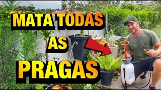 ELIMINE as PRAGAS nas PLANTAS com ESSE INSETICIDA CASEIRO | Henrique Buttler