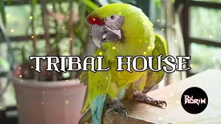 Tribal House Mix ( DJ ADRI M )