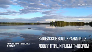 Вилейское водохранилище.  Ловля птиц и рыбы фидером.