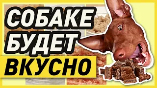 🦴ЛАКОМСТВА ДЛЯ СОБАК - 6 ПРОСТЫХ РЕЦЕПТОВ СОБАЧЬИХ ВКУСНЯШЕК СВОИМИ РУКАМИ