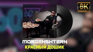 MORGENSTERN|красный дошик|слив2021