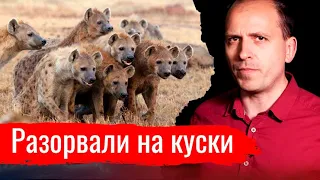 Разорвали на куски // Письма