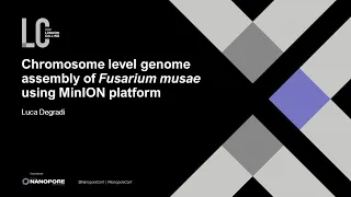 Luca Degradi - Chromosome level genome assembly of Fusarium musae using MinION