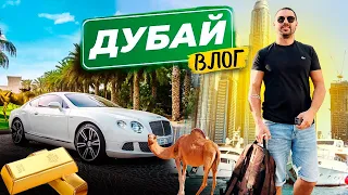 🏙Живем в ДУБАЕ | Где арендуем КВАРТИРУ? | Прогулка по ДУБАЮ☀️