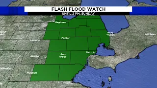Metro Detroit weather: Flash Flood Watch with showers, Aug. 1, 2020, 8 p.m. update