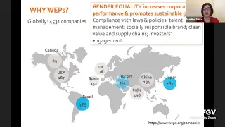 Webinar | Japan-Brazil Panel: Gender Inequality in International Institutions and Global Politics