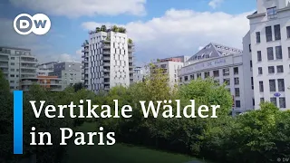 Wie will Paris bis 2050 CO2-neutral werden? | Fokus Europa