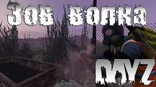 Зов Волка v2.0! - DayZ