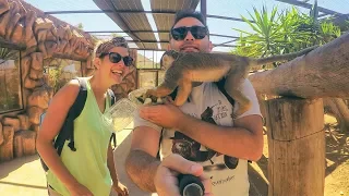 Monkey Park Tenerife • Avventura con le scimmie