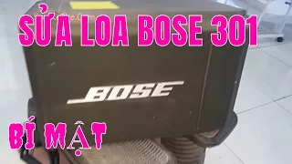 SỬA LOA BOSE 301 - THAY LOA TRUNG - LOA TÉP