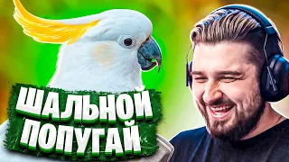 HARD PLAY СМОТРИТ БАЛТИМОР 13 МИНУТ СМЕХА ЛУЧШИЕ ПРИКОЛЫ ЯНВАРЬ 2020