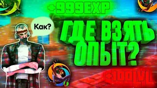 КАК ЛЕГКО ПОЛУЧАТЬ ОПЫТ И ПРОКАЧАТЬ УРОВЕНЬ? Онлайн РП ГТА Самп | Online RP GTA (Samp Mobile)