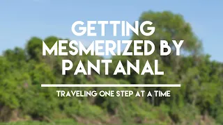 VISITING PANTANAL THE WETLANDS OF BRAZIL PART 1 | TRAVELING ONE STEP AT A TIME
