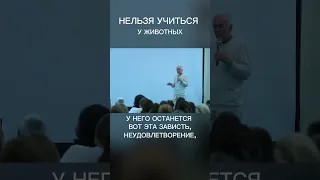 Нельзя учиться у животных – Александр Хакимов