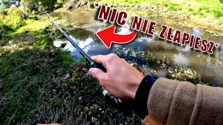 A MÓWIŁ, ŻE NIC TU NIE ZŁOWIĘ...