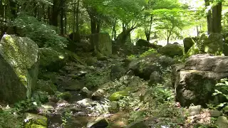 【癒し系】自然音 せせらぎ ソフト水流音３時間